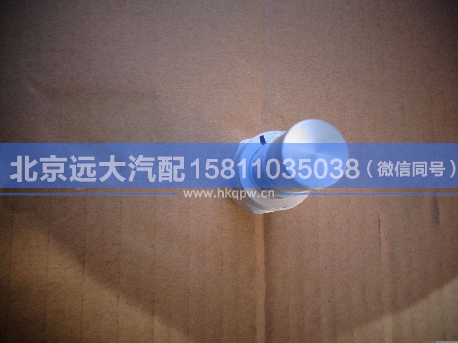 H4381020002A0,,北京遠(yuǎn)大汽車配件有限公司