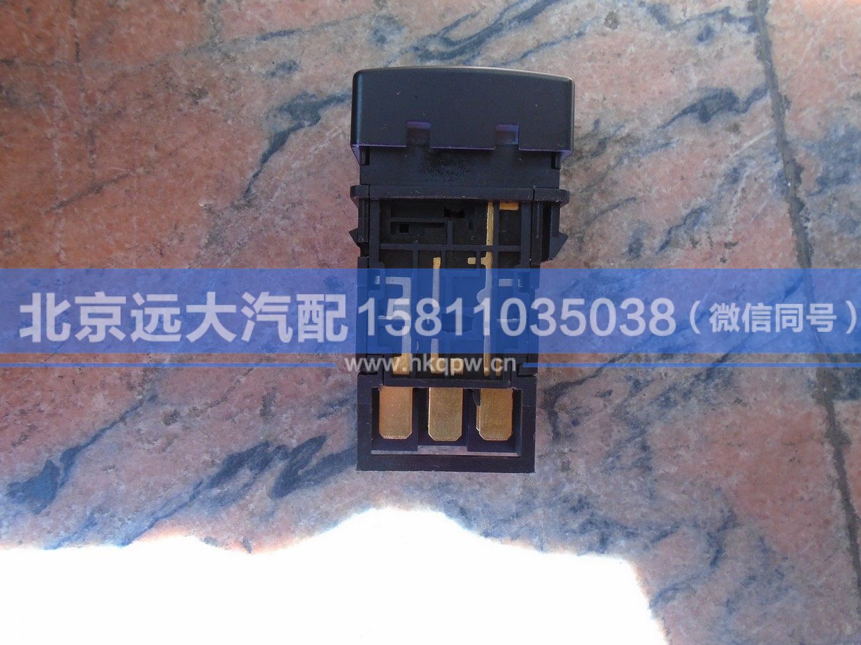 1B24937300119,,北京远大汽车配件有限公司