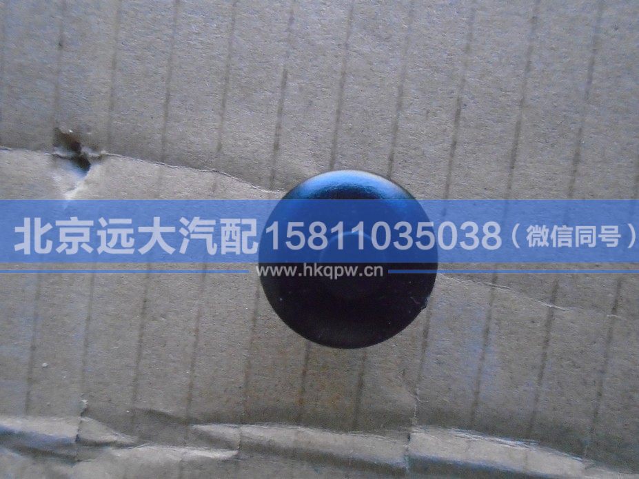 1B24984300029,,北京远大汽车配件有限公司