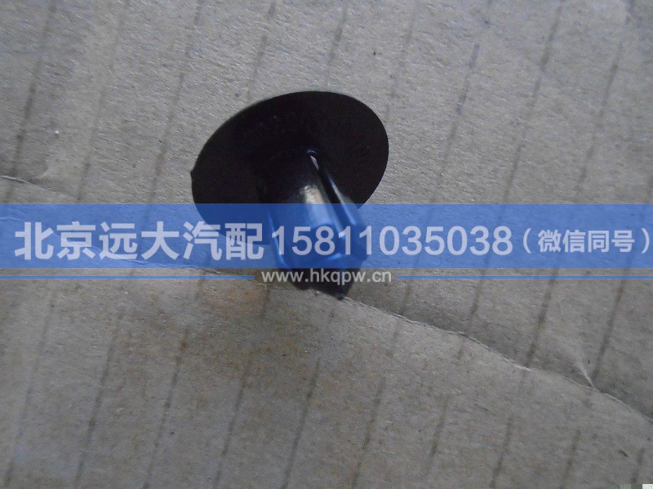 1B24984300029,,北京远大汽车配件有限公司