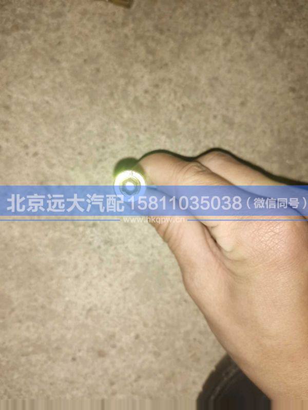 H0356306014A0,,北京远大汽车配件有限公司