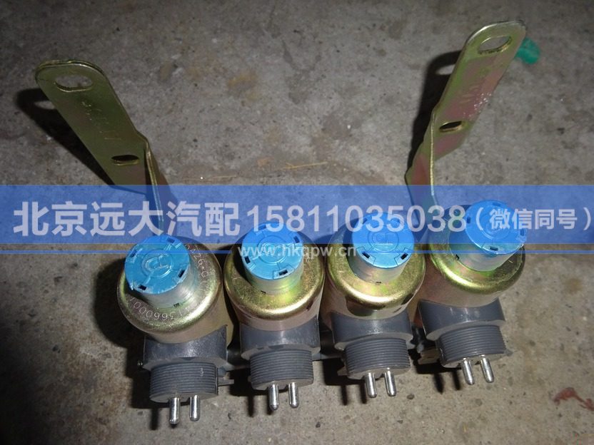 1124136600010,,北京远大汽车配件有限公司