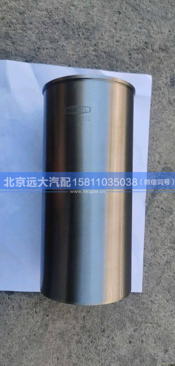 T3135X063,,北京遠(yuǎn)大汽車配件有限公司