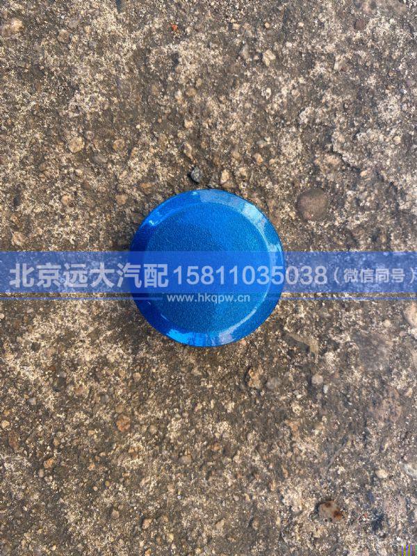 H4845010009A0,,北京遠(yuǎn)大汽車配件有限公司