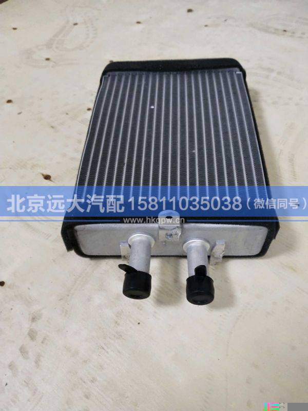 H0811010018A0,,北京远大汽车配件有限公司