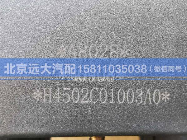 H4502C01003A0,,北京远大汽车配件有限公司