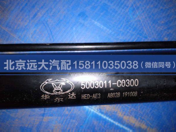5003011-C0300,,北京遠(yuǎn)大汽車配件有限公司