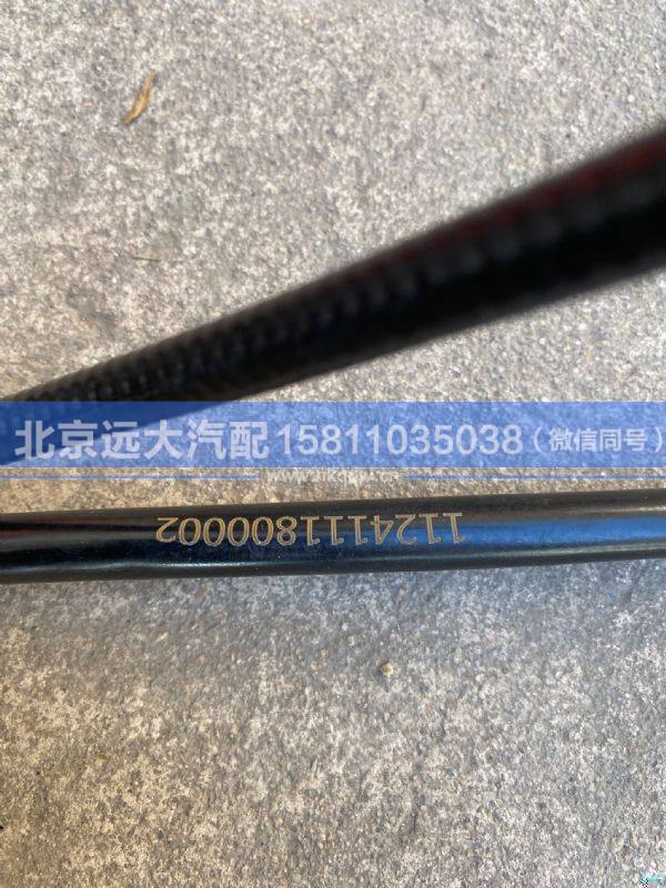 1124111800002,,北京远大汽车配件有限公司