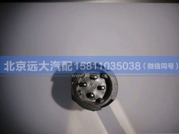 H4381020007A0,,北京远大汽车配件有限公司