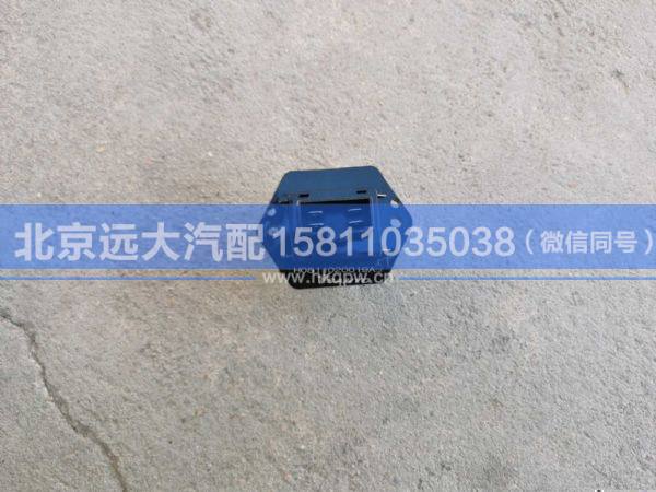H0811010010A0,,北京远大汽车配件有限公司