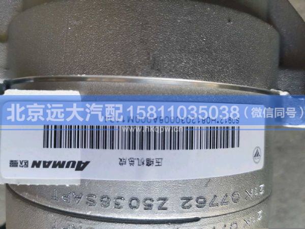 H0812030008A0,,北京遠大汽車配件有限公司