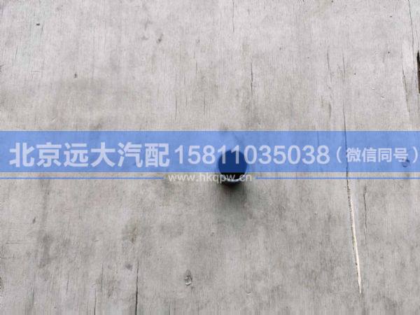 1424217200062,,北京遠(yuǎn)大汽車配件有限公司