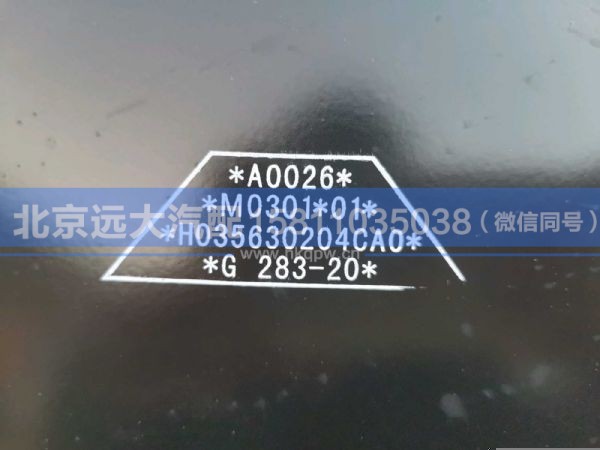 H035630204CA0,,北京远大汽车配件有限公司