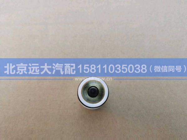 YWCGQLW,,北京遠(yuǎn)大汽車配件有限公司