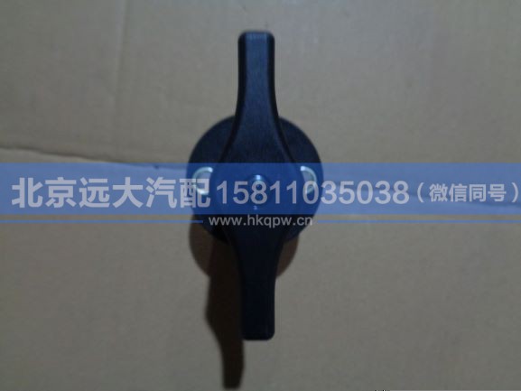 H4366020001A0,,北京远大汽车配件有限公司