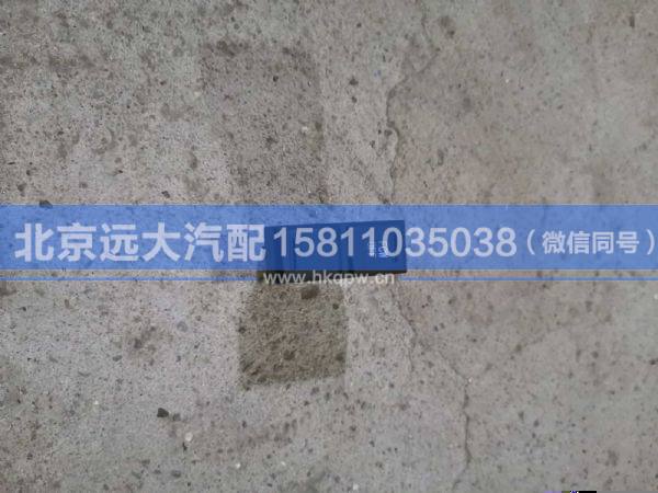 H079300000019,,北京遠(yuǎn)大汽車配件有限公司