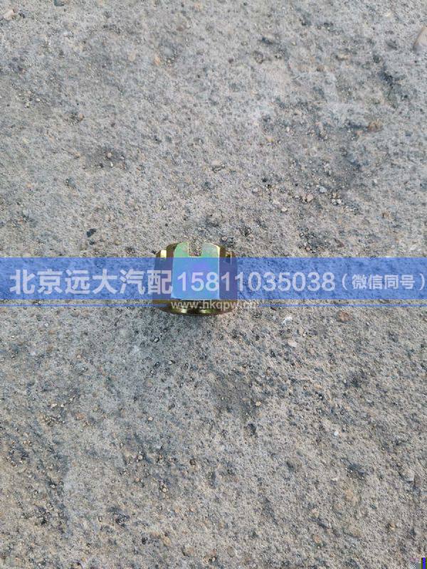 99012250031,,北京远大汽车配件有限公司