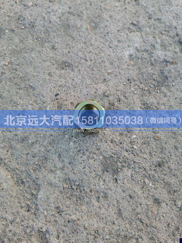 99012250031,,北京远大汽车配件有限公司