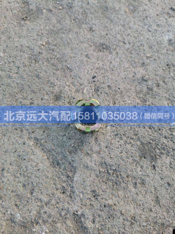 99012250031,,北京远大汽车配件有限公司