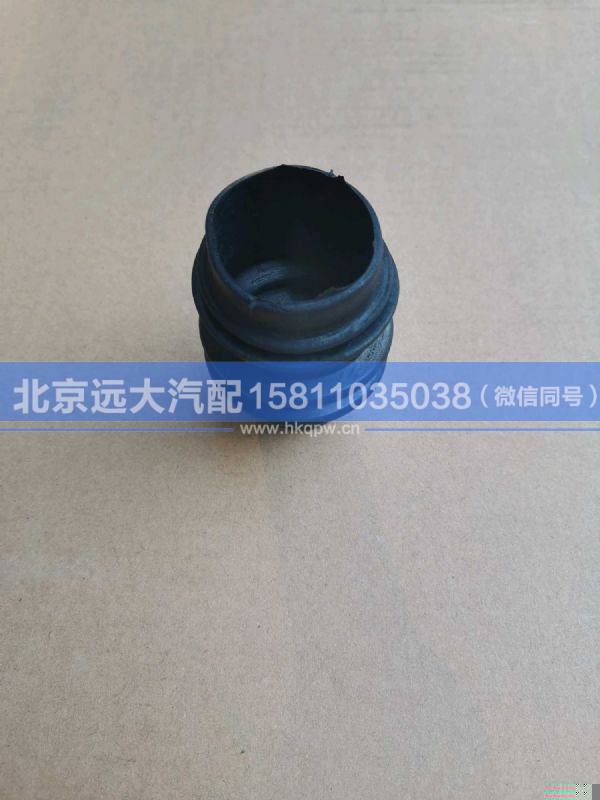 H436200000454-5,,北京遠(yuǎn)大汽車配件有限公司