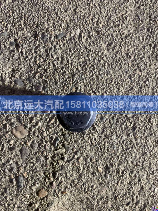 3001048-TR5001,,北京遠大汽車配件有限公司