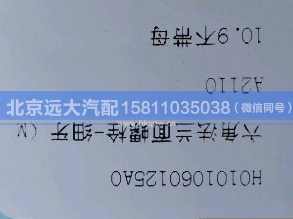 H0101060125A0,,北京遠大汽車配件有限公司