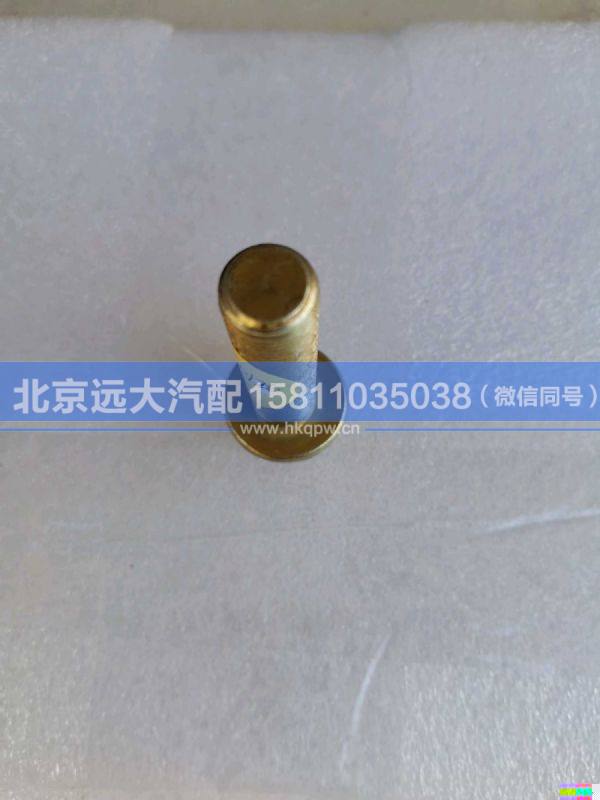 H0101060126A0,,北京遠大汽車配件有限公司