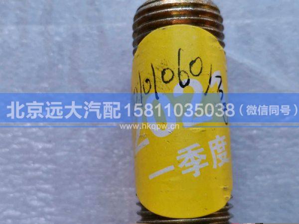 H0101060130A0,,北京遠大汽車配件有限公司