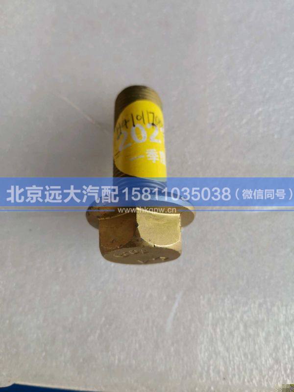 H4101170002A0,,北京远大汽车配件有限公司