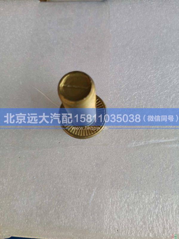 H4101170002A0,,北京远大汽车配件有限公司