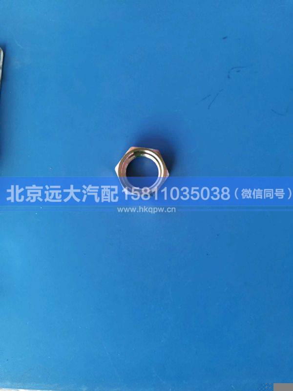 H4356024002A0,,北京远大汽车配件有限公司