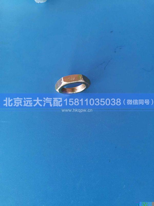 H4356024002A0,,北京远大汽车配件有限公司