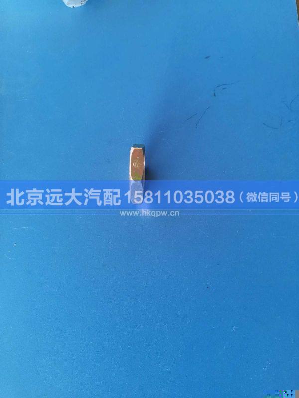 H4356024002A0,,北京远大汽车配件有限公司