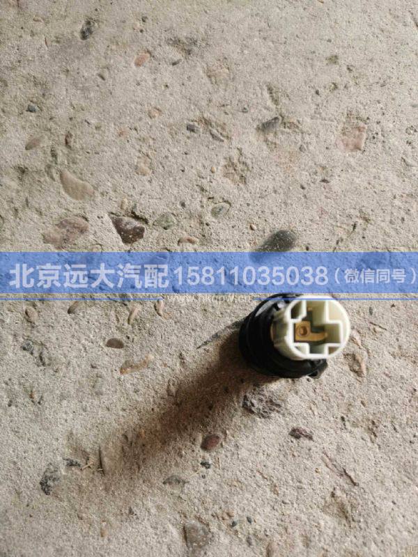 H4378070001A0,,北京远大汽车配件有限公司