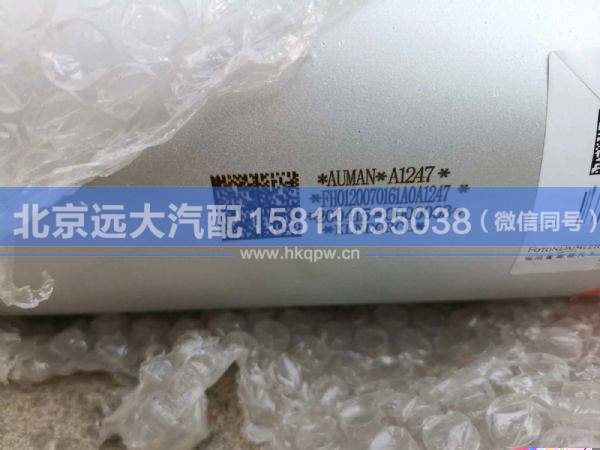 H0120070161A0,,北京远大汽车配件有限公司