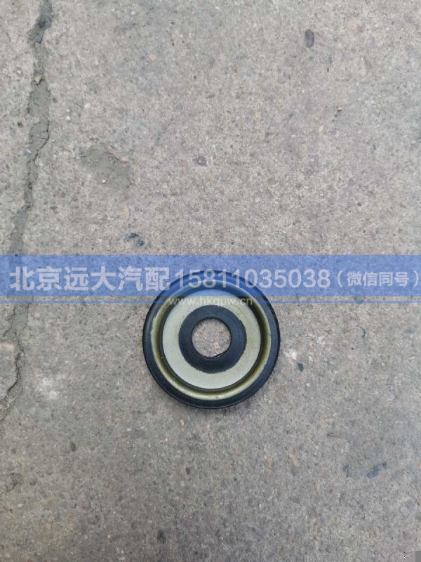 Q153-3001015,,北京远大汽车配件有限公司