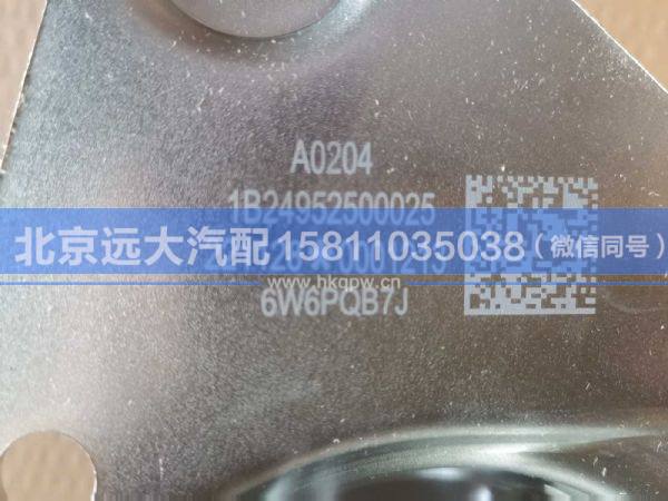 1B24952500025,,北京远大汽车配件有限公司