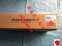 H4821020105A0,欧曼EST GTL 前下视镜总成,北京源盛欧曼汽车配件有限公司