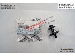 F1B249553104043,翻转盖板锁扣总成,北京源盛欧曼汽车配件有限公司