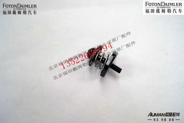 F1B249553104043,翻转盖板锁扣总成,北京源盛欧曼汽车配件有限公司