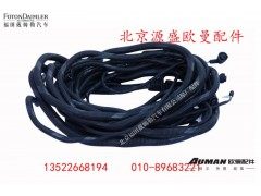 H0359082012A0,ABS电缆线总成,北京源盛欧曼汽车配件有限公司