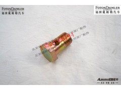 F1417034000008,转向泵铰接螺栓,北京源盛欧曼汽车配件有限公司