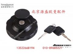 H4110034103A0,燃油箱锁总成,北京源盛欧曼汽车配件有限公司