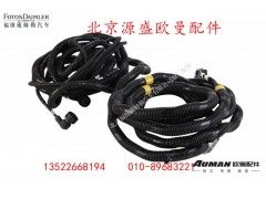H4359080029A0,ABS左电缆线总成,北京源盛欧曼汽车配件有限公司