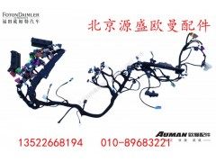H4374010019A0,车身主线束,北京源盛欧曼汽车配件有限公司