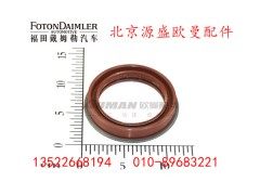 HFF2502040CK2MC,油封总成,北京源盛欧曼汽车配件有限公司
