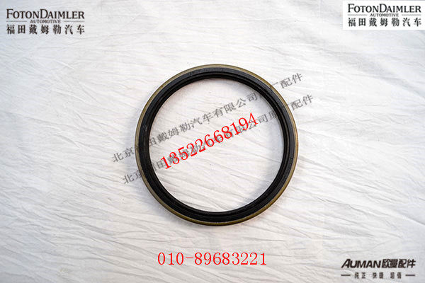 S2S31H-03080