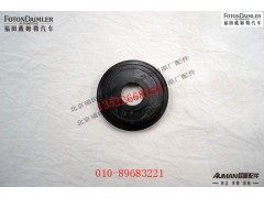 SEQ153-3001015,主销下堵盖总成,北京源盛欧曼汽车配件有限公司