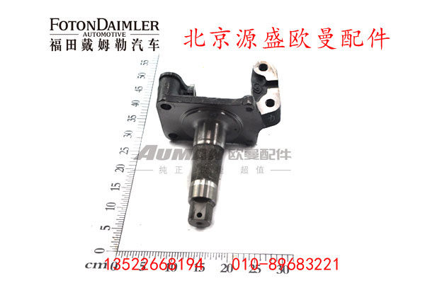 QT50AQ0-3001301,转向节总成（左）,北京源盛欧曼汽车配件有限公司