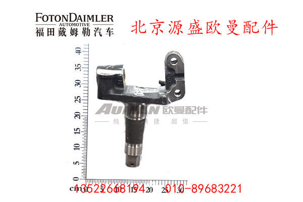 QT50AQ0-3001301,转向节总成（左）,北京源盛欧曼汽车配件有限公司